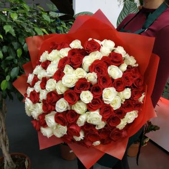 Букет Букет из 101 розы (красные и белые розы) артикул букета  112794